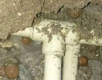 大连市测漏水多少钱