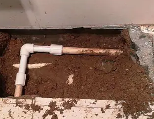 大连市测漏水哪家好