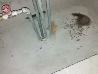 大连市卫生间测漏水价格明细