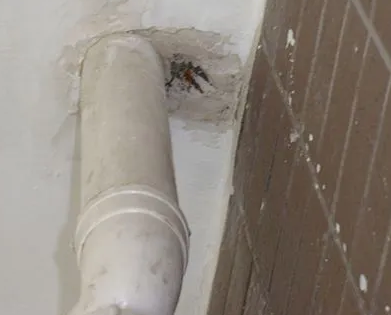 大连市漏水检测哪家好